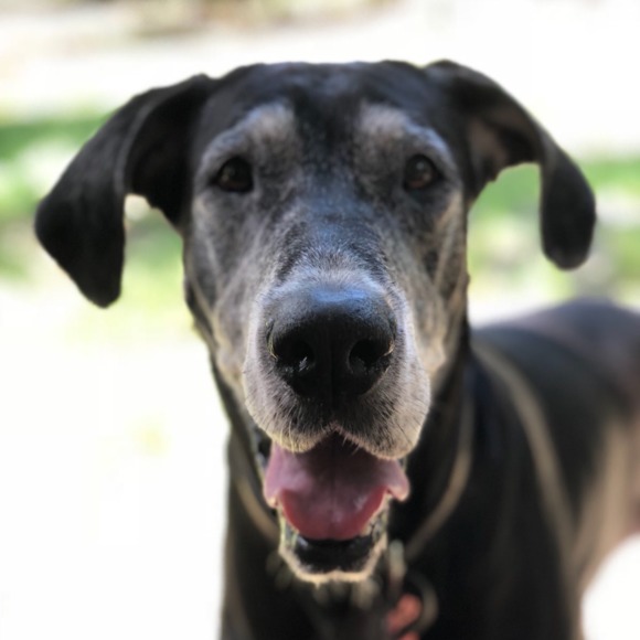 Meet your Posher, Mandy jo - Picture 1 of 1